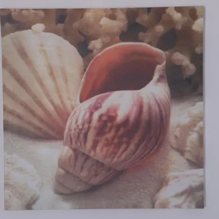 Apartment Plaza Agia Anna (Naxos)