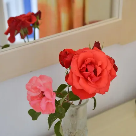 Plaza Apartment Agia Anna (Naxos)