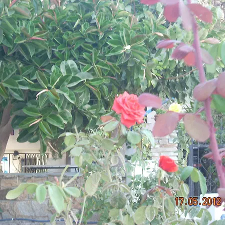 Appartamento Plaza