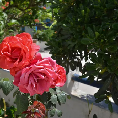 Appartamento Plaza Agia Anna (Naxos)