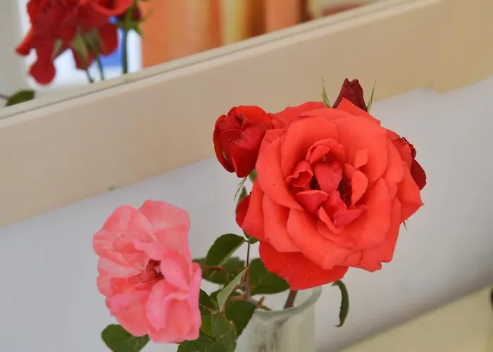 Plaza Apartament Agia Anna (Naxos)