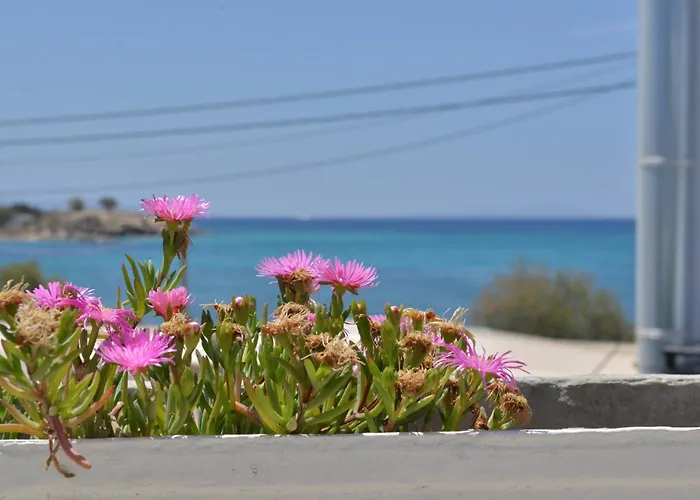 Plaza * Agia Anna (Naxos)