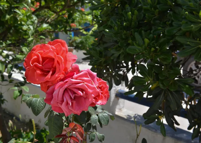 Apartmán Plaza Agia Anna (Naxos)